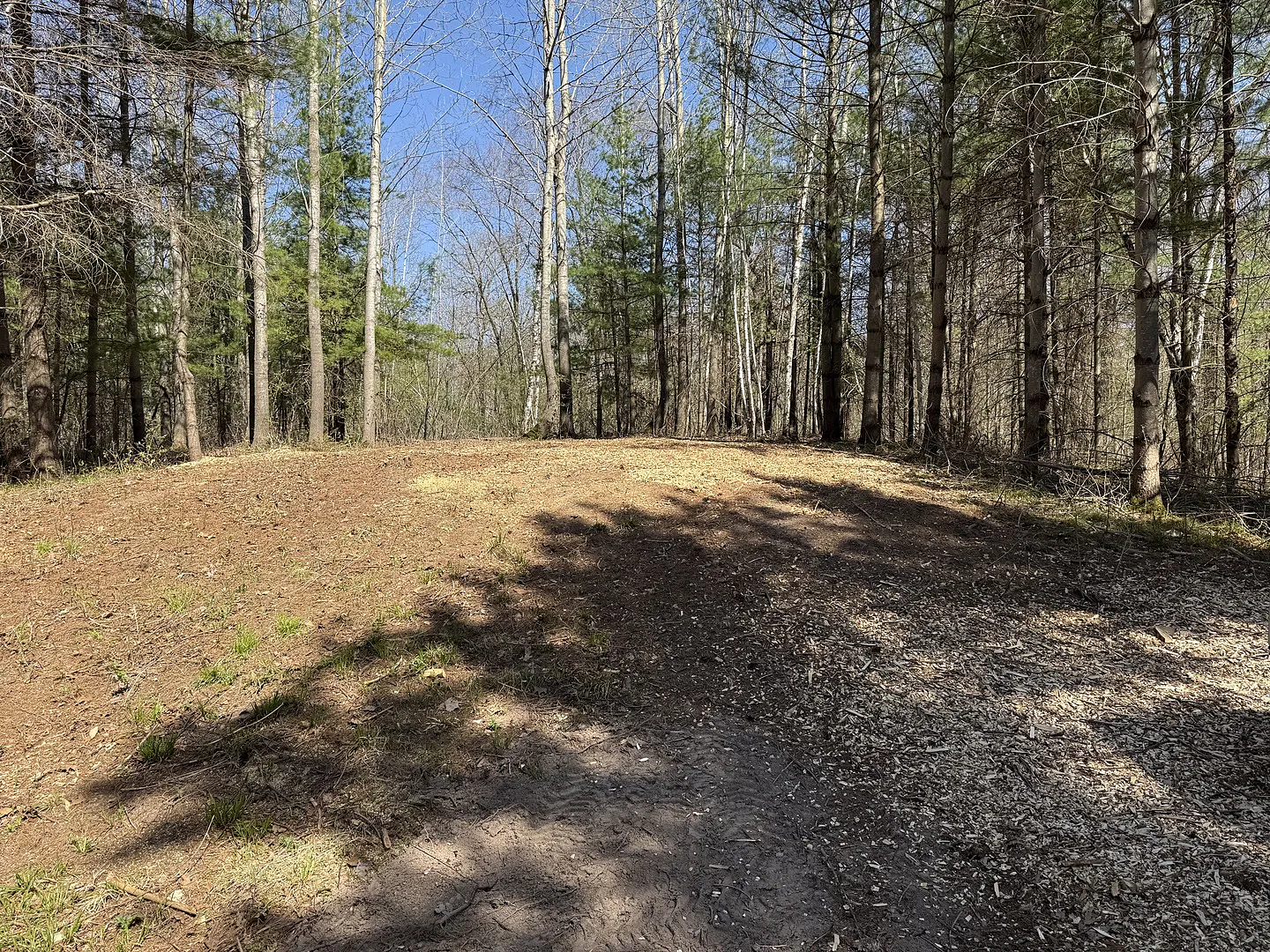Clearing some land to move