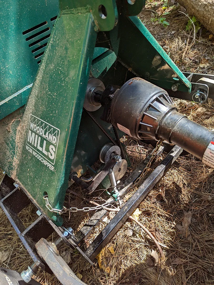 Good Little Chipper photo 3