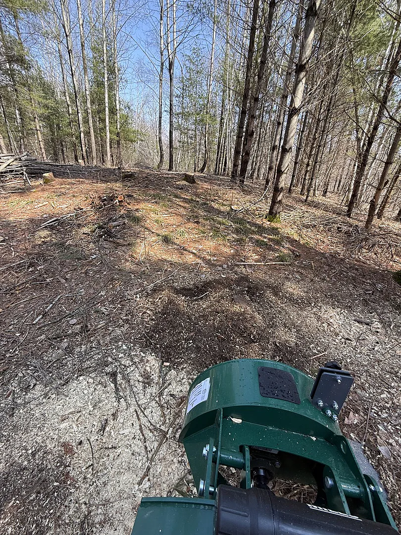 Clearing some land to move