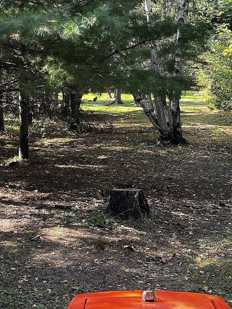 WG24 works great photo 1